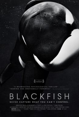 Blackfish DVD on Amazon.com