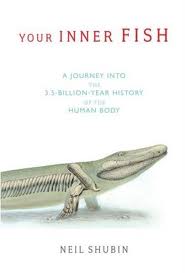Your Inner Fish: The 3.5 Billion Year History of the Human Body by Neil Shubin
